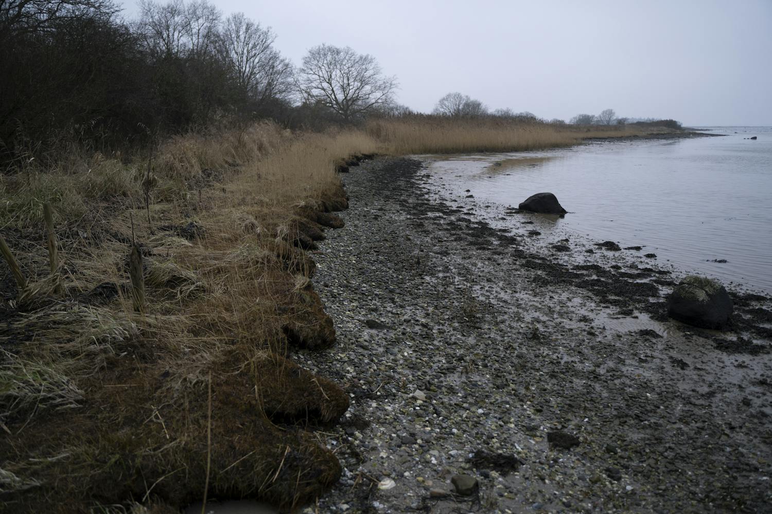 2 5 for rannikko harmaa taivas